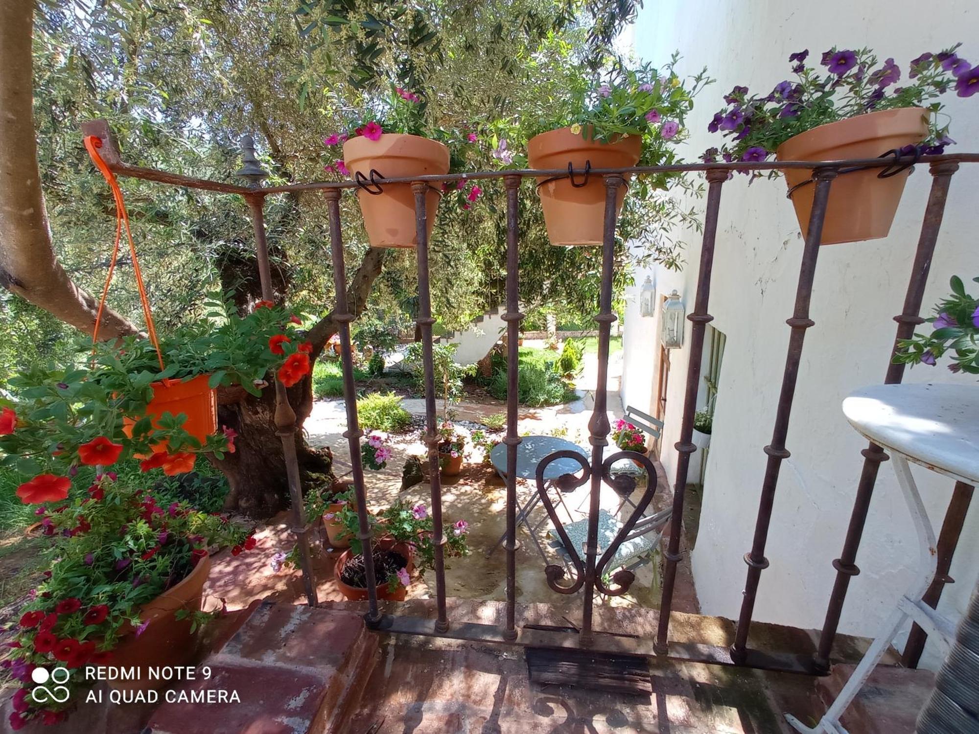 Finca La Favorita- Suites (Adults Only) Constantina Exterior photo