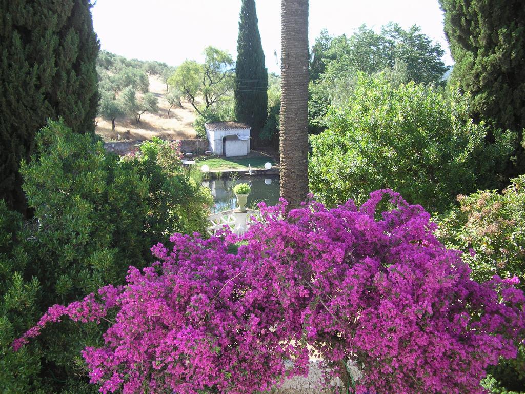 Finca La Favorita- Suites (Adults Only) Constantina Exterior photo