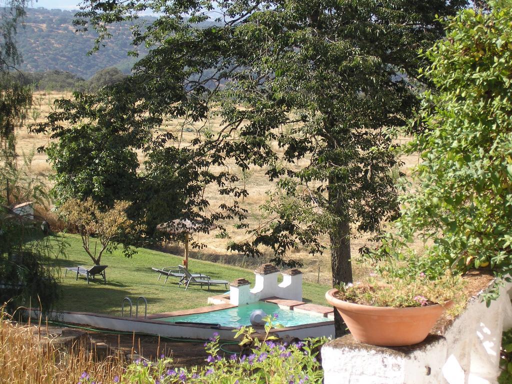 Finca La Favorita- Suites (Adults Only) Constantina Exterior photo