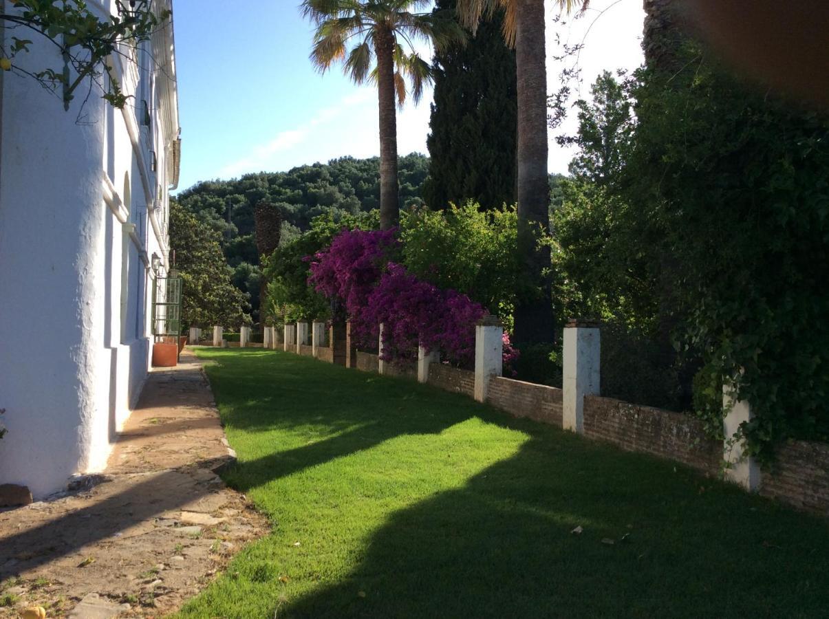 Finca La Favorita- Suites (Adults Only) Constantina Exterior photo